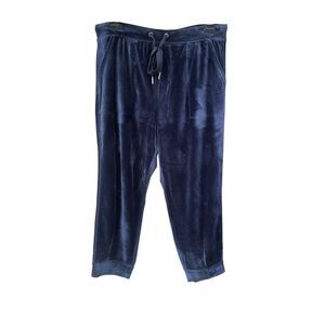 Saturday Sunday Anthropologie Womens Pants Large Blue velvet Jogger pull on